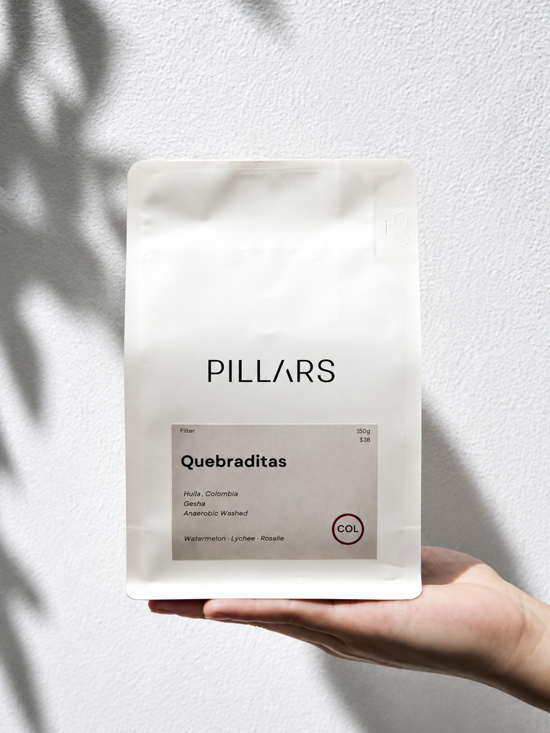 Quebraditas filter, Colombia Gesha